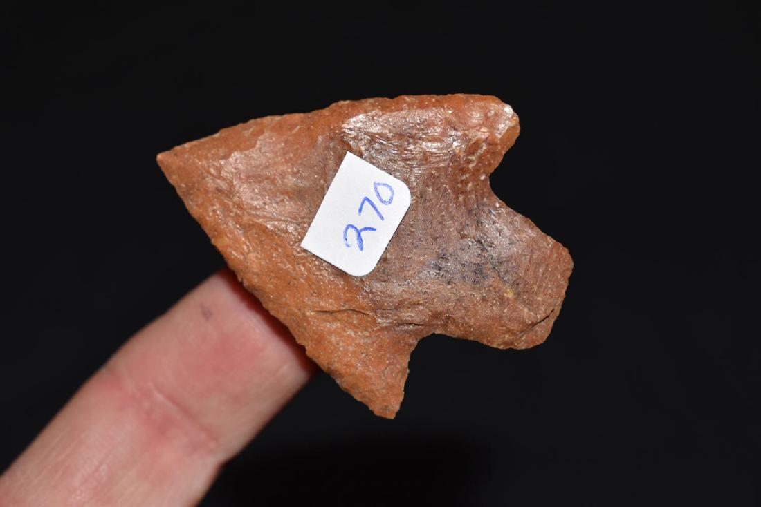 Fine Newnan, Jackson Co Florida (1 of 2)