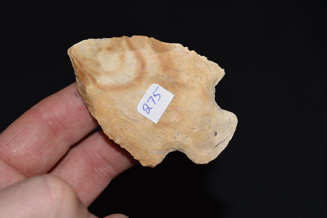 Alachua, Jackson Co Florida (1 of 2)