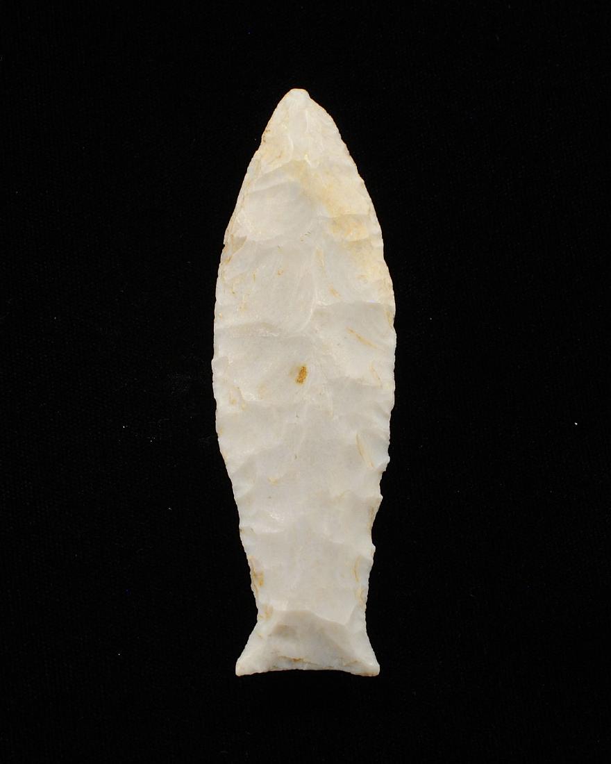 Paleo Beaver Lake, Burlington, Scott Co MO, Motley COA, (1 of 3)