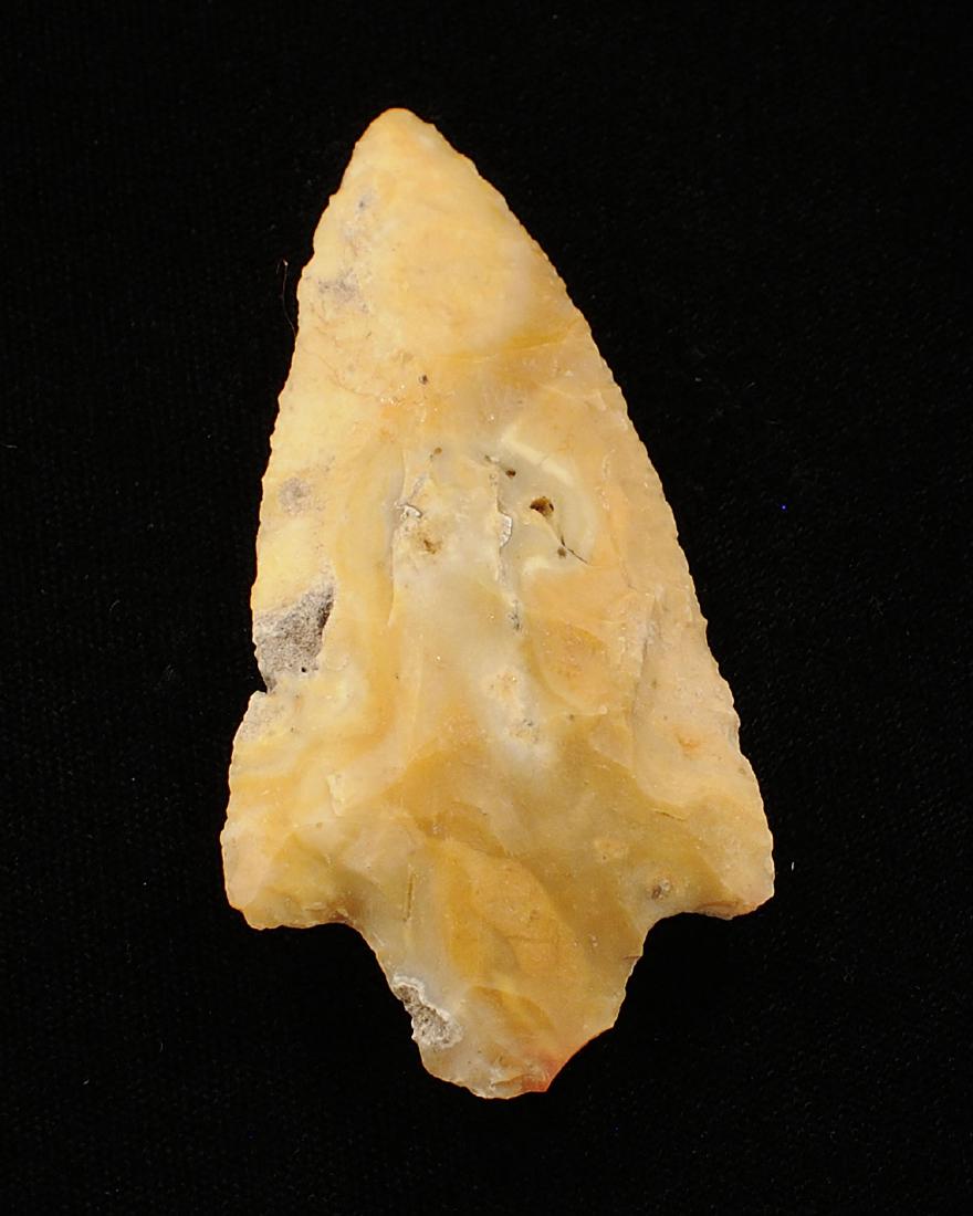 Coral Levy Point Translucent, 3 inches, Jackson Co (1 of 2)