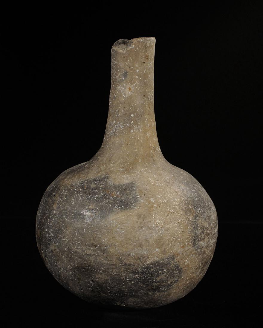 8 1/2 inch Tall Long Neck Water Bottle, Dunlin Co (1 of 5)