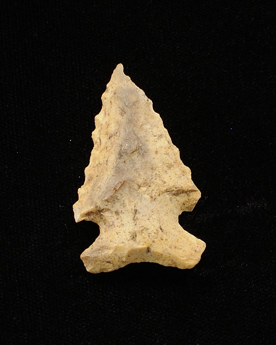 Bolen Beveled, Jackson Co Florida, 1 1/2 inches, River (1 of 2)