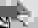 item-86892515=3