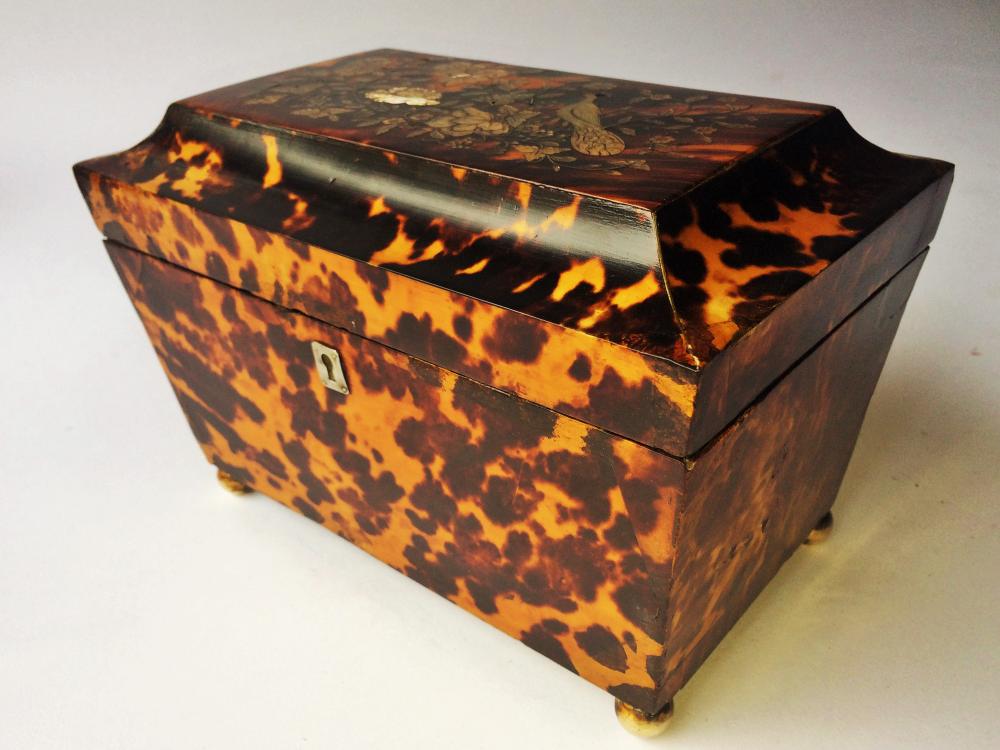 RARE 19TH C TORTOISE SHELL TEA CADDY (1 of 7)
