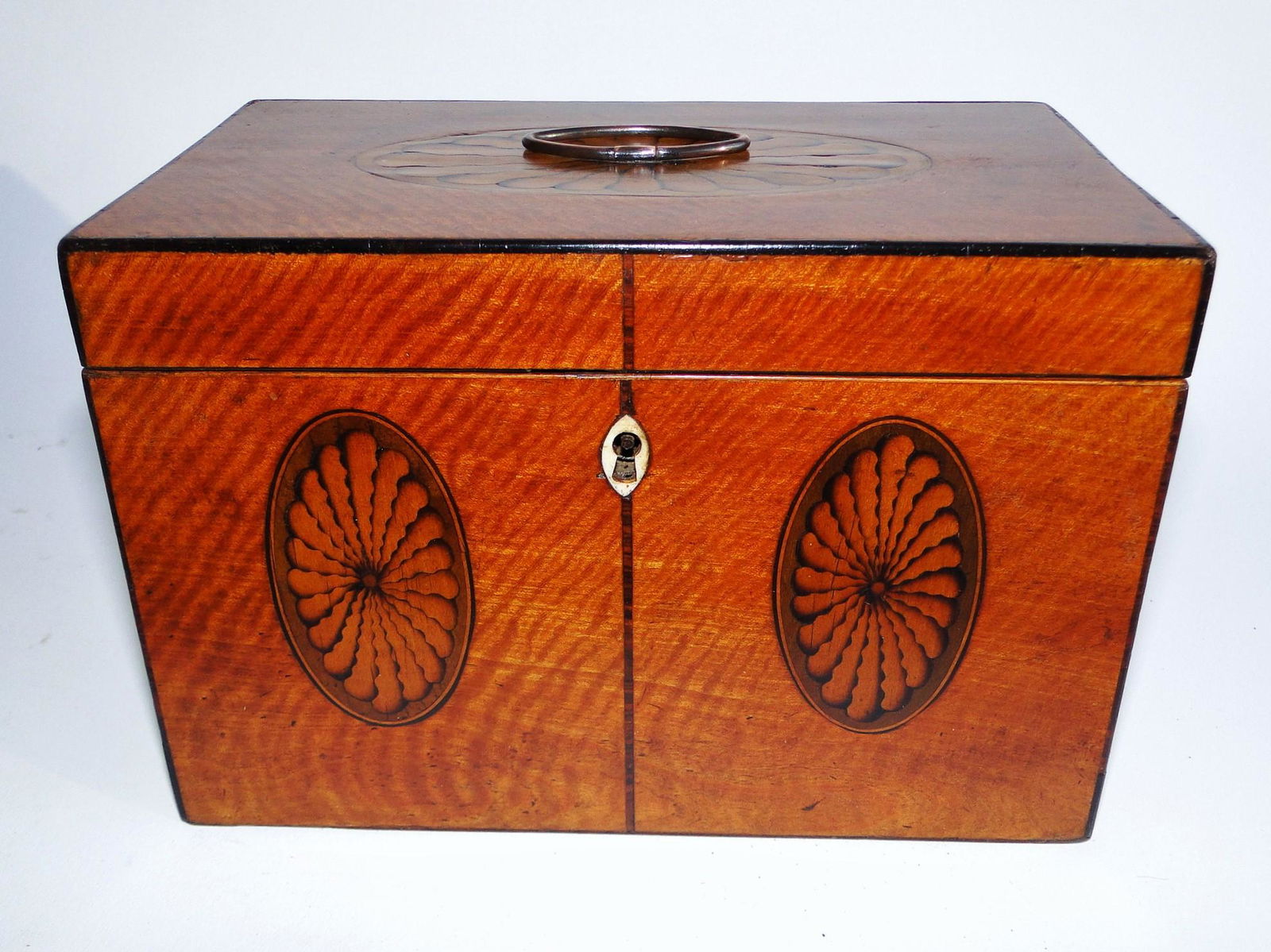 19TH C SATINWOOD TEA CADDY WITH TWO PATERAE FRONTS, ONE (1 of 6)