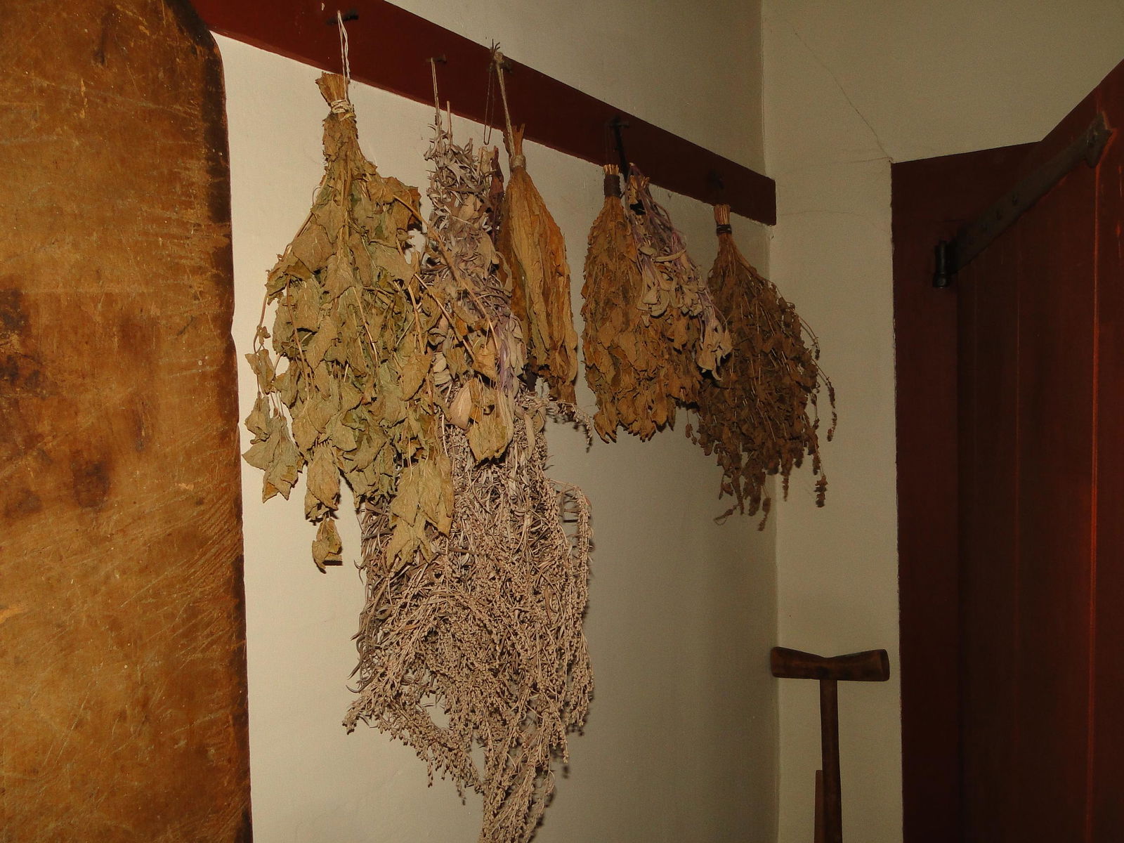 GROUPING OF DRIED FLOWERS (1 of 4)