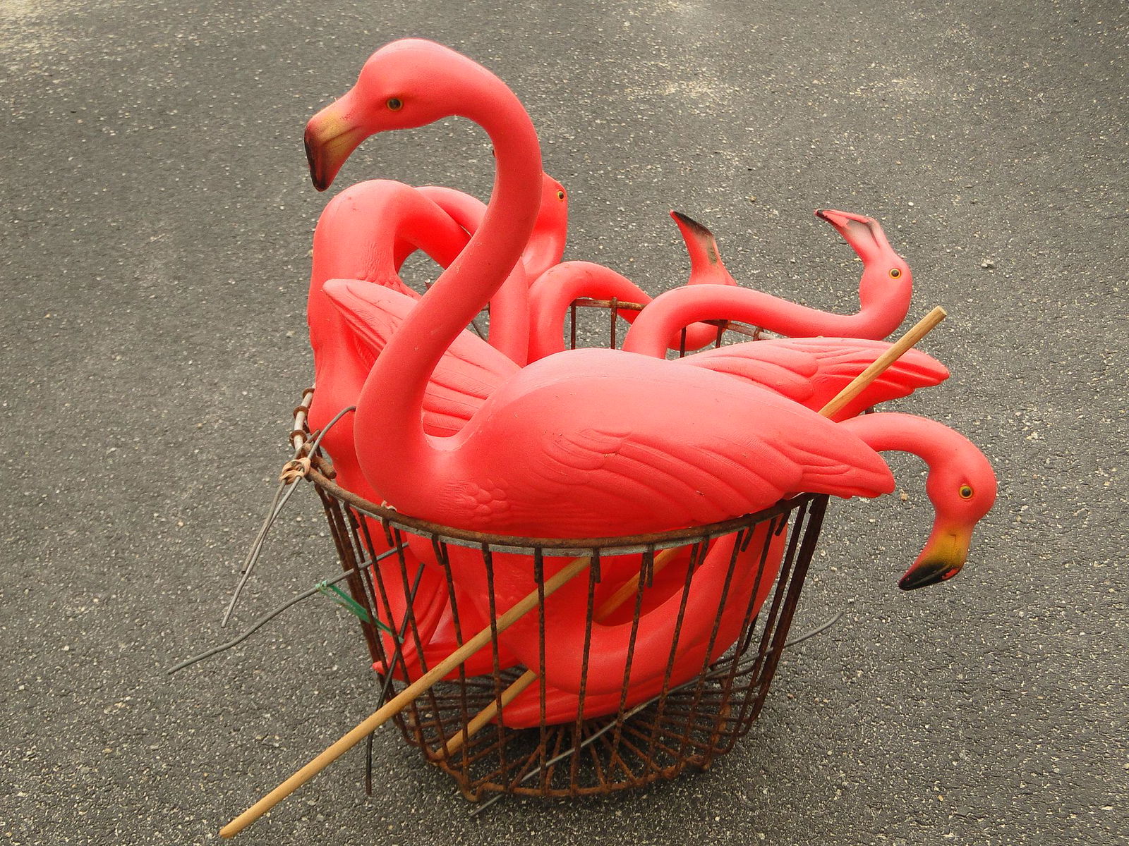 GROUPING OF ORIGINAL PINK FLAMINGOS SIGNED MARK FERRAGAMO (1 of 3)