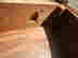 item-128936707=5