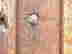 item-133655088=6