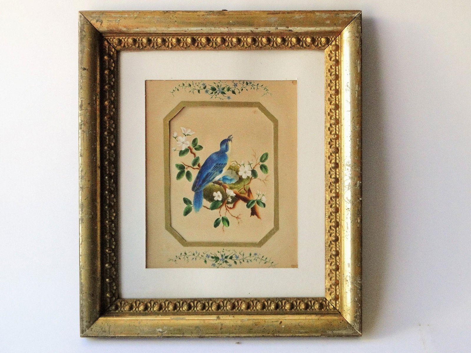 19TH C BLUEBIRD THEOREM, BLUEBIRD AND NEST (1 of 3)