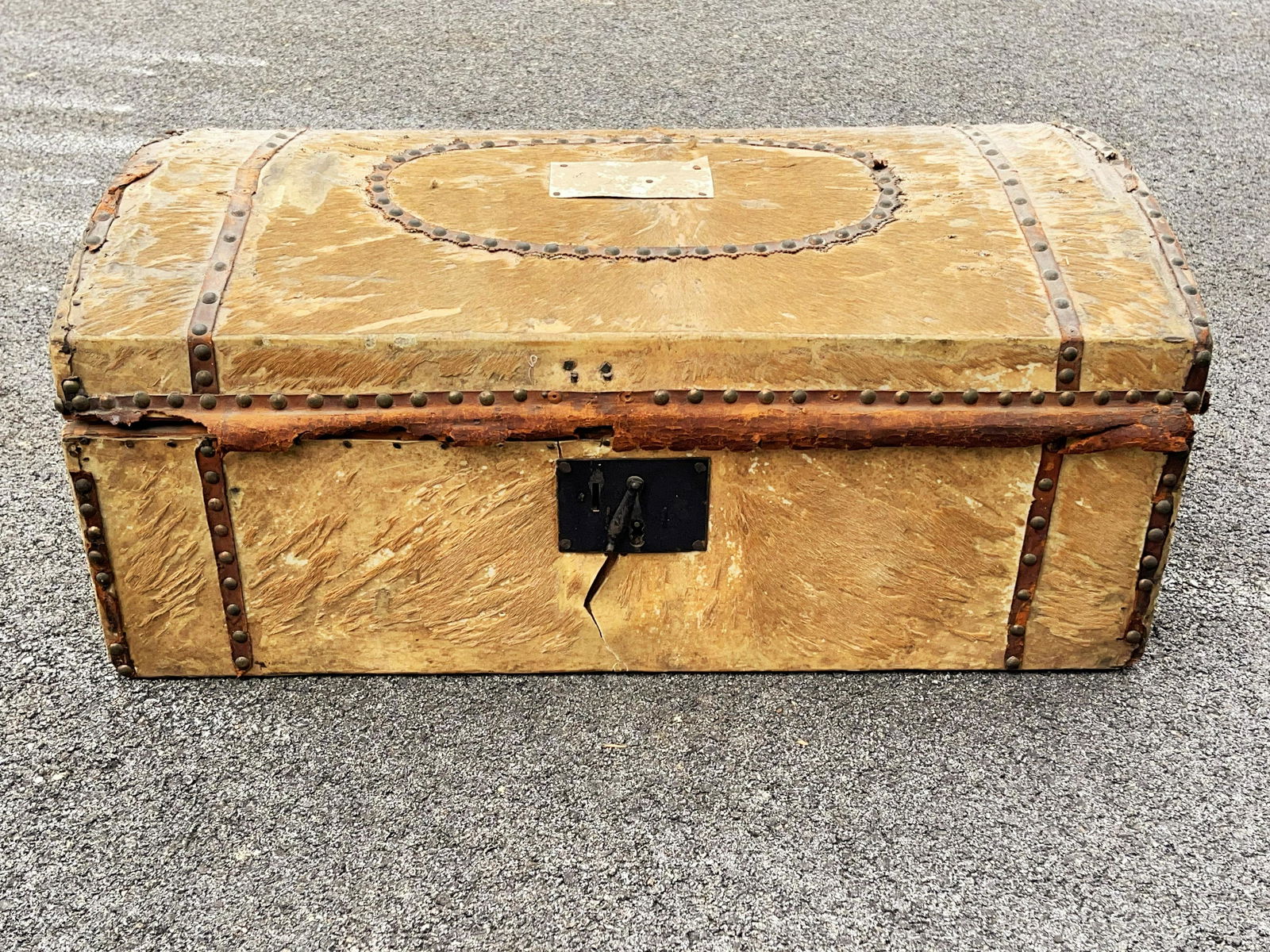 19TH C DOME TOP BOX WITH HIDE COVERING (1 of 4)