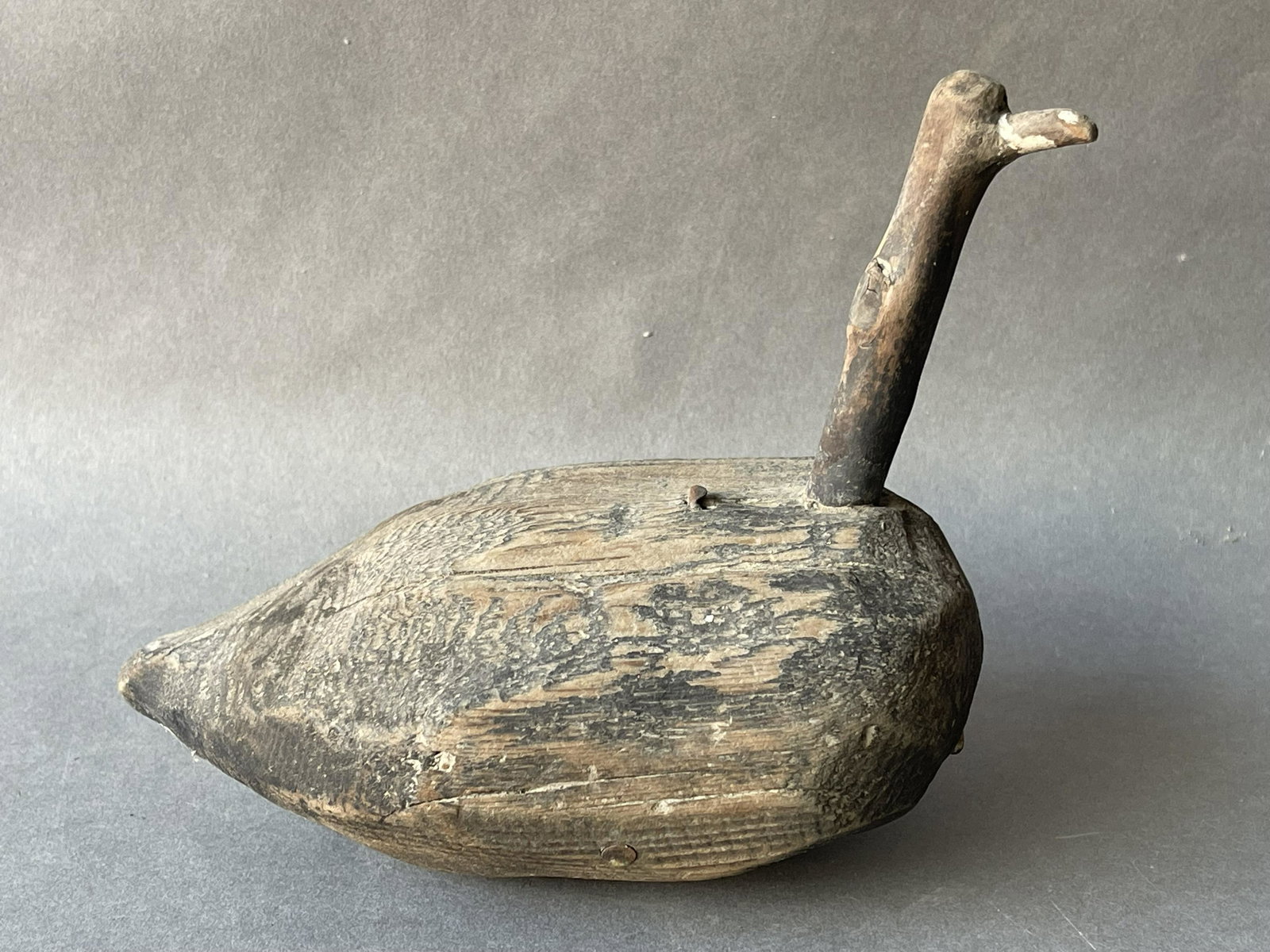 SMALL NANTUCKET COOT DECOY (1 of 3)