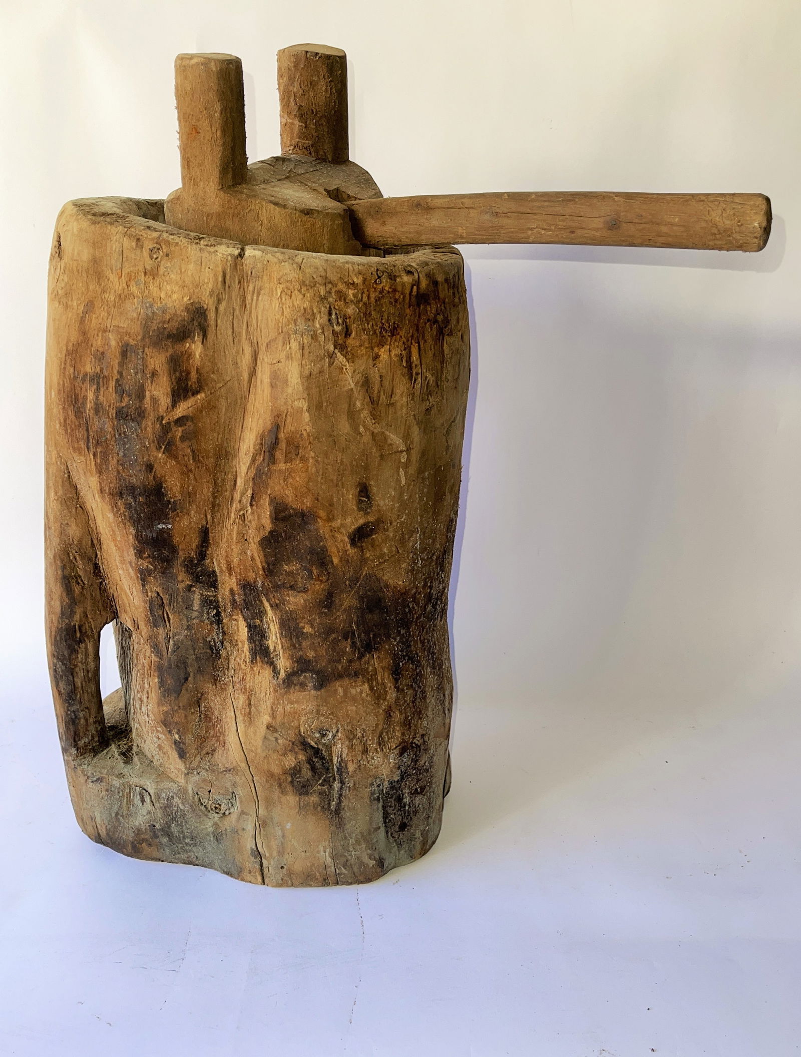 IMPORTANT NATIVE AMERICAN HORNBEAM (1 of 6)