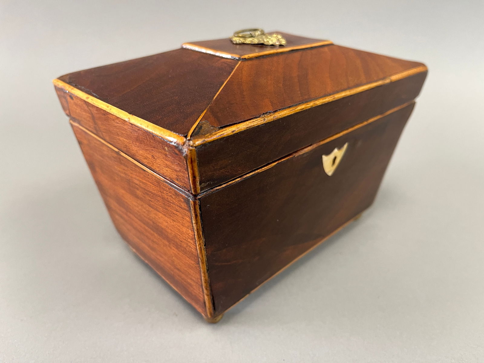 SARCOPHAGUS TEA CADDY , SHELL TEA CADDY: SARCOPHAGUS TEA CADDY , SHELL TEA CADDY 8" X 5" X 5"