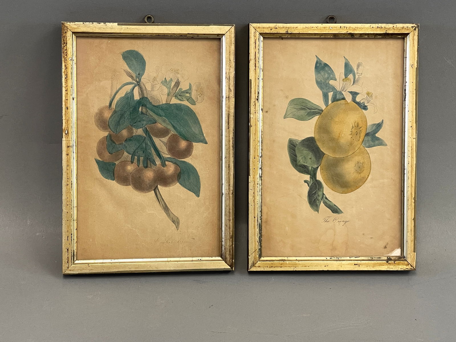 TWO FRUIT THEOREMS (1 of 1)