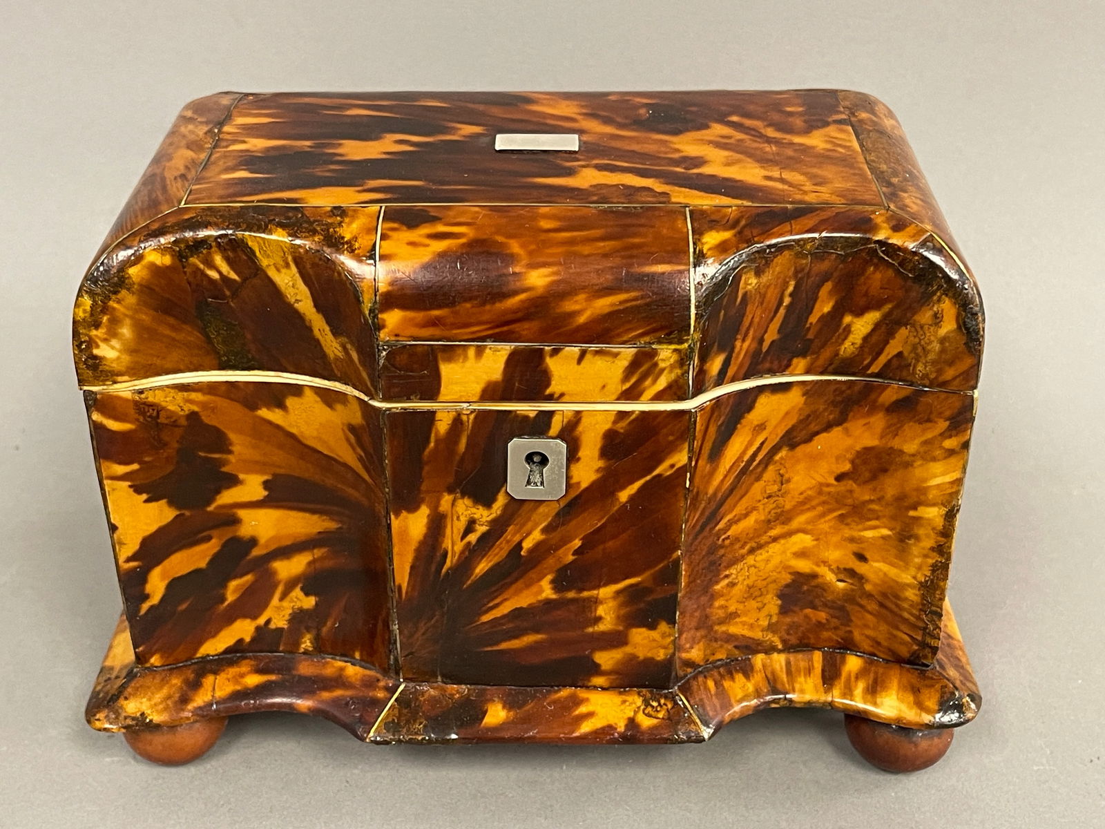 TORTOISE SHELL TEA CADDY (1 of 6)