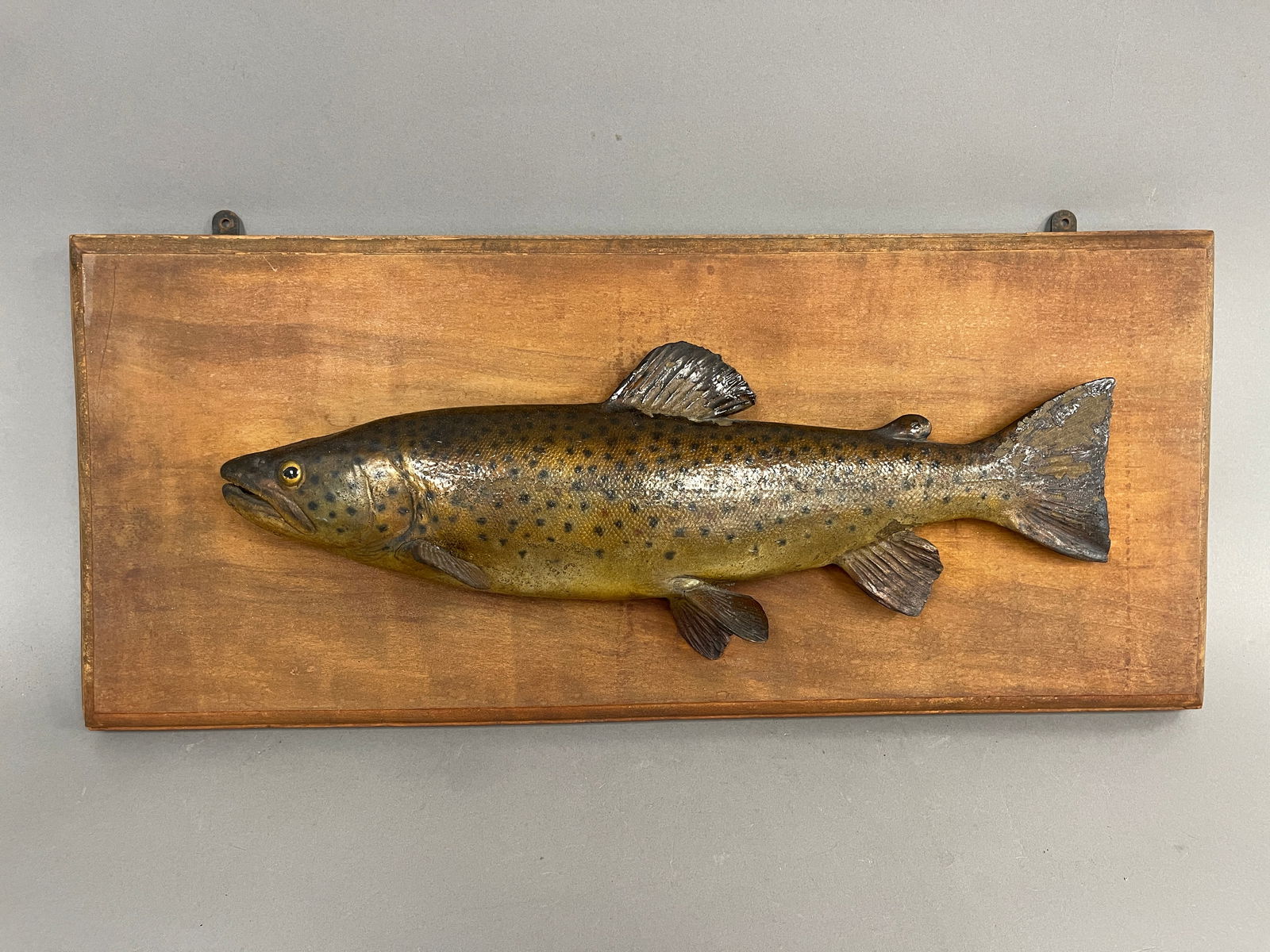 ANTIQUE MOUNTED TROUT ON BOARD 9 X 22 (1 of 3)