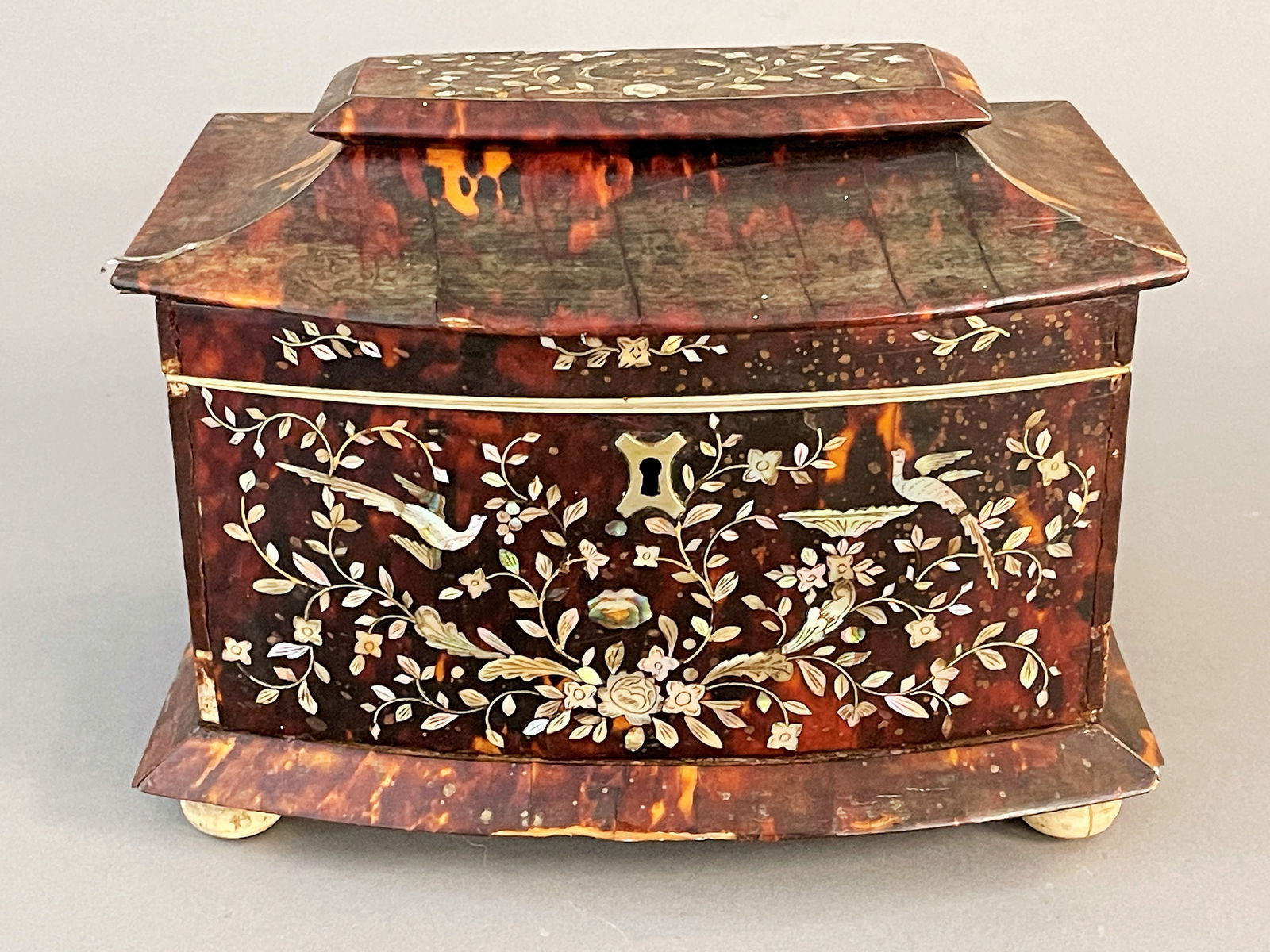 EARLY 19TH C TORTOISE SHELL TEA CADDY (1 of 6)
