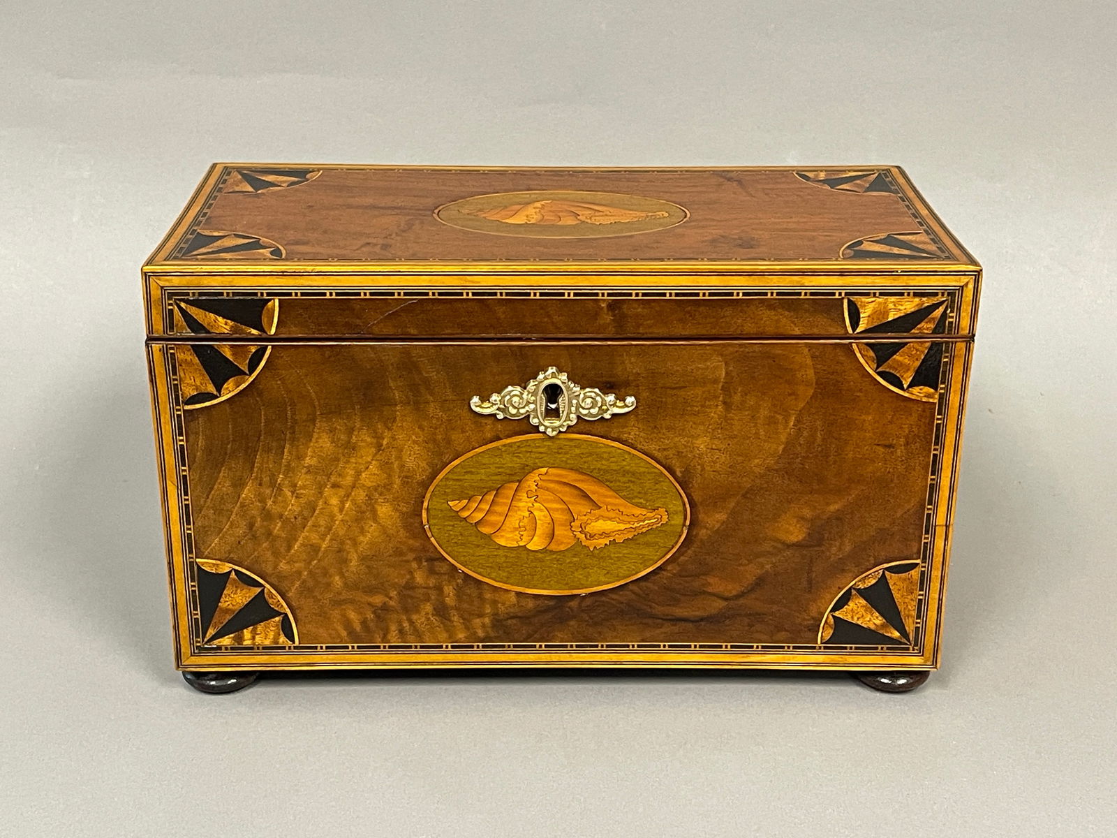 LARGE 19TH C QUARTER FAN INLAID TEA CADDY (1 of 7)