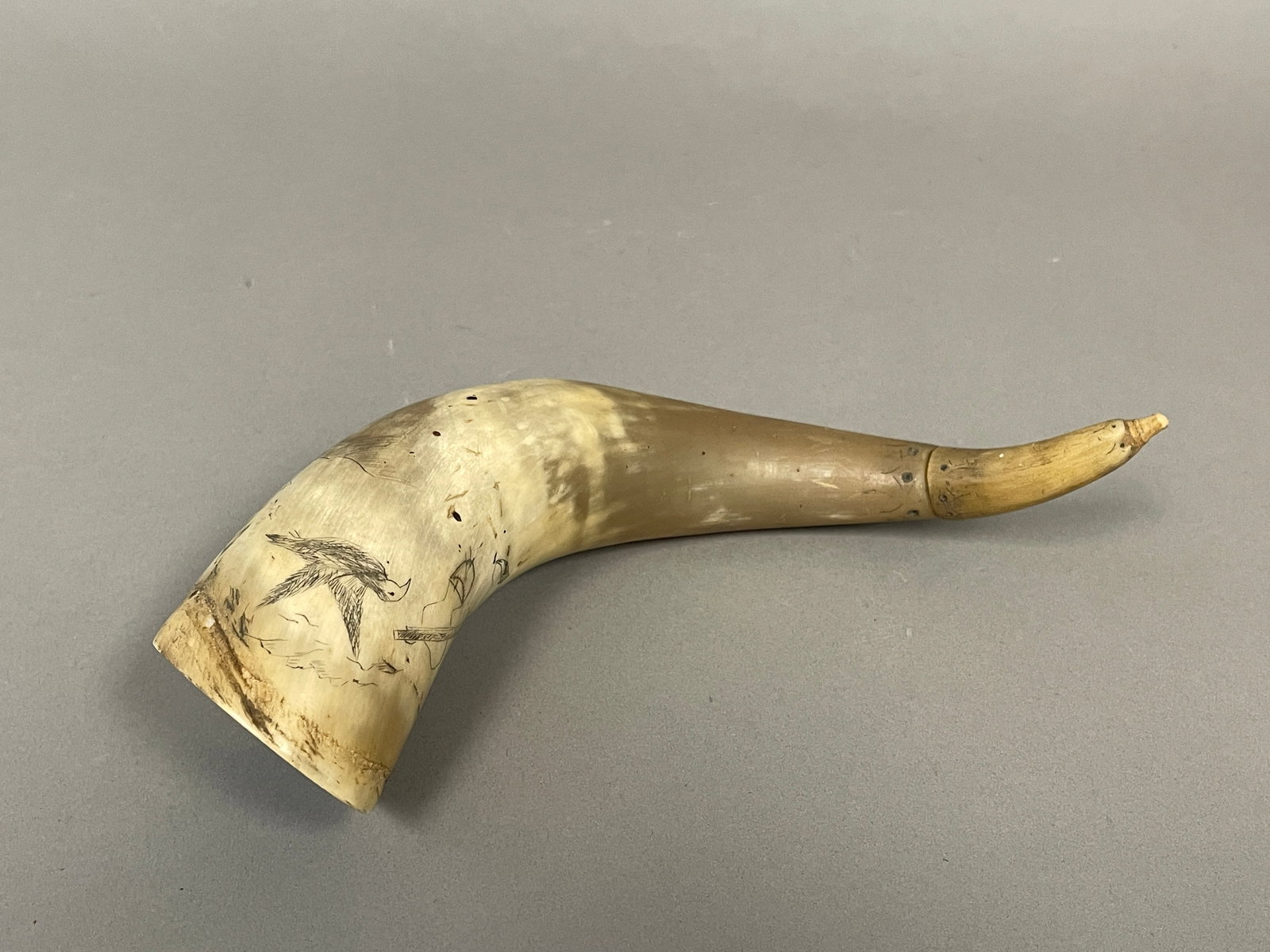 POWDER HORN WITH SCRIMSHAW SHIP: POWDER HORN WITH SCRIMSHAW SHIP, BIRD AND A MUSKET, 9"