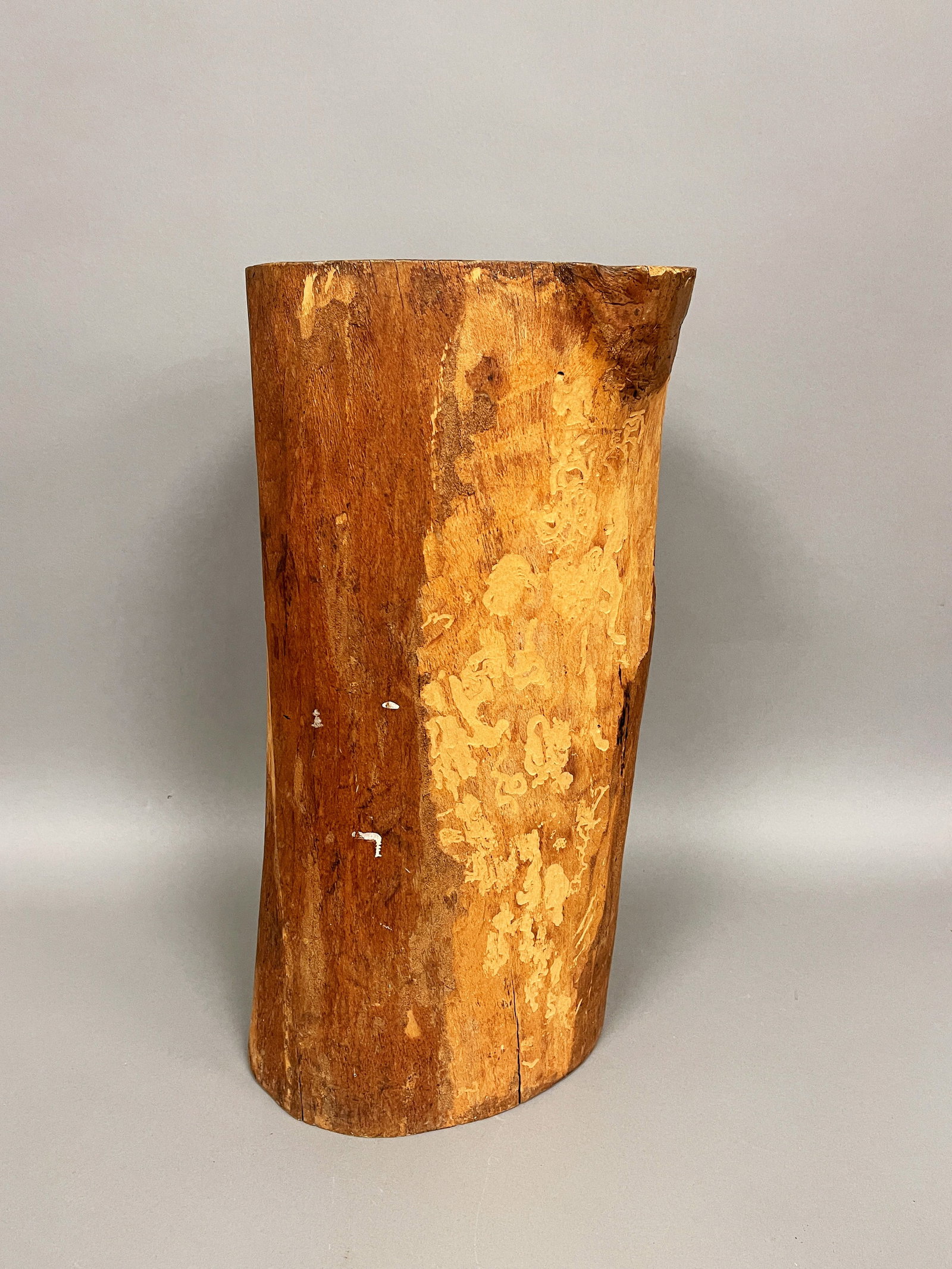 EARLY PRIMITIVE HORNBEAM: EARLY PRIMITIVE HORNBEAM 18" TALL X 10" WIDE