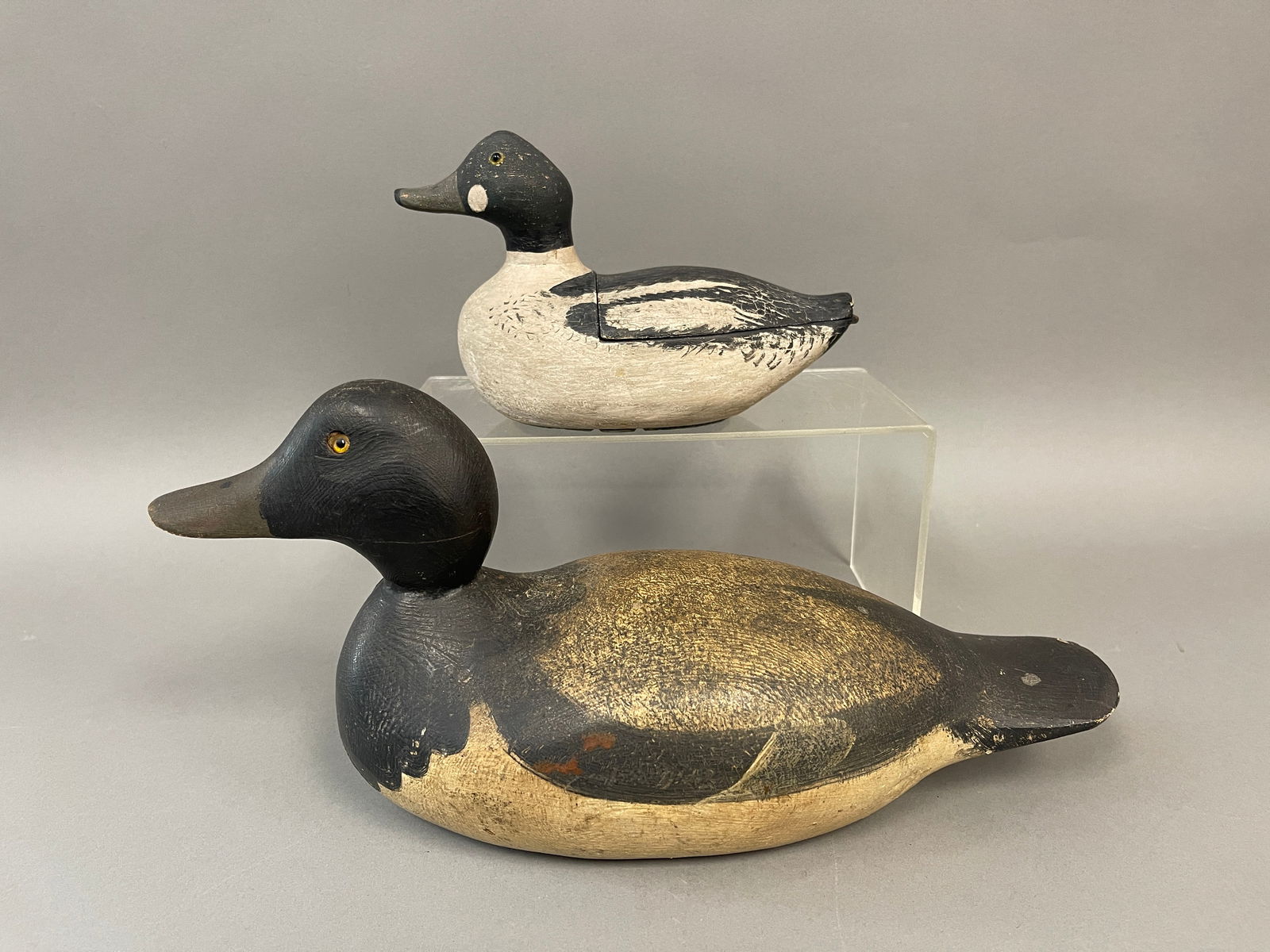 GROUPING OF TWO DECOYS (1 of 6)