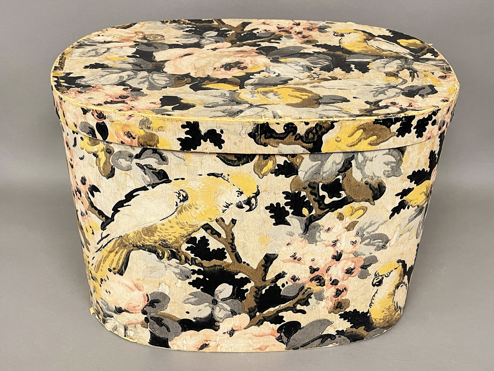 1890-1920 C RARE OVAL COCKATOO WALLPAPER "STOCK PAPER" HAT BOX (1 of 7)