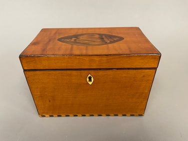 19TH C SATINWOOD CONCH SHELL TEA CADDY