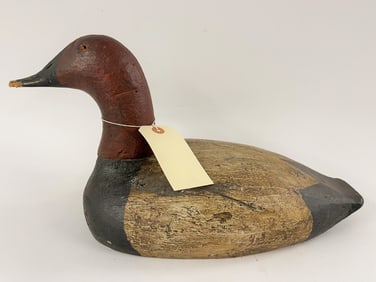 CANVASBACK DECOY
