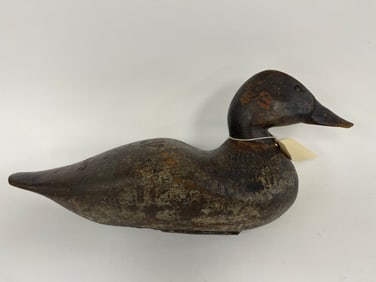 BLACK DUCK DECOY
