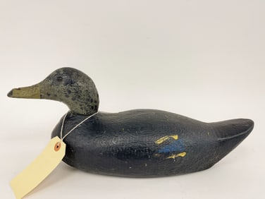 BLACK DUCK DECOY