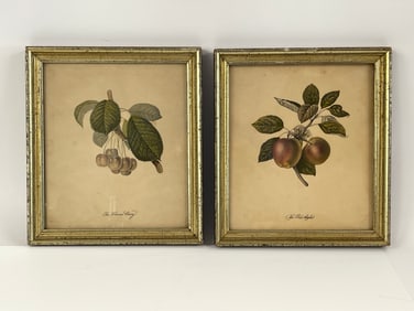 TWO LITHOGRAPHS OF FRUIT IN GOLD GUILT