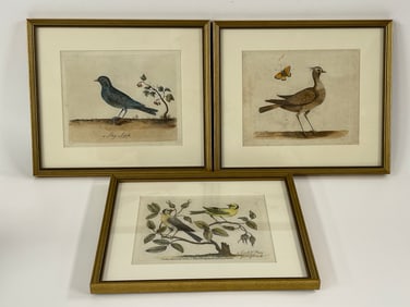 THREE LITHOGRAPHS OF BIRDS,HAND COLORED