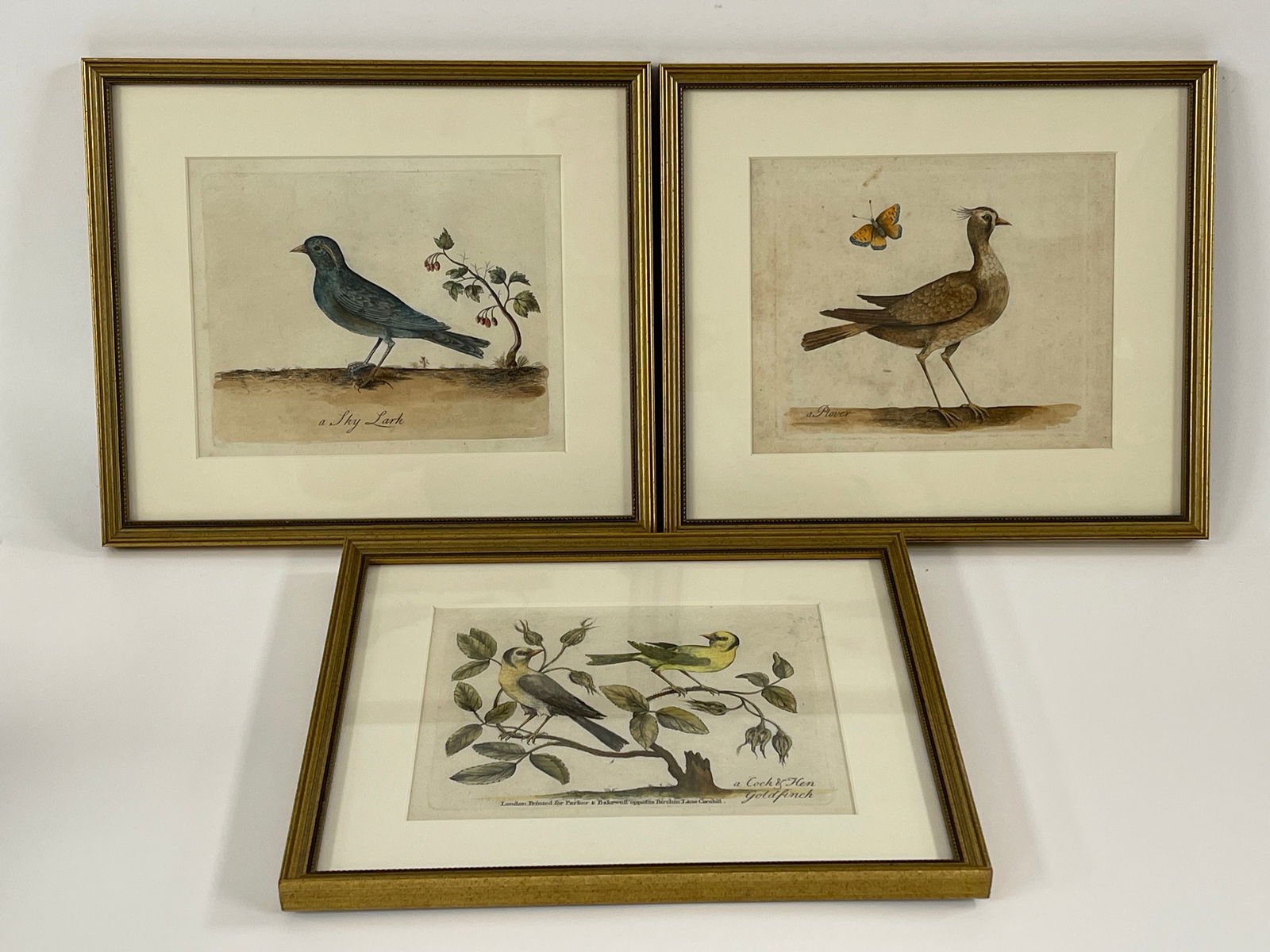 THREE LITHOGRAPHS OF BIRDS,HAND COLORED (1 of 3)