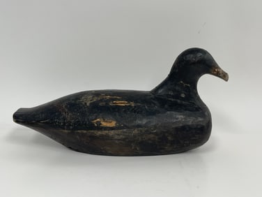 PRIMITIVE COOT DECOY