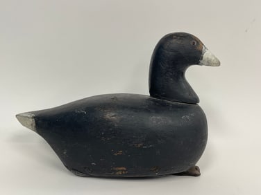 FRESHWATER COOT DECOY WITH PROVENANCE TAG