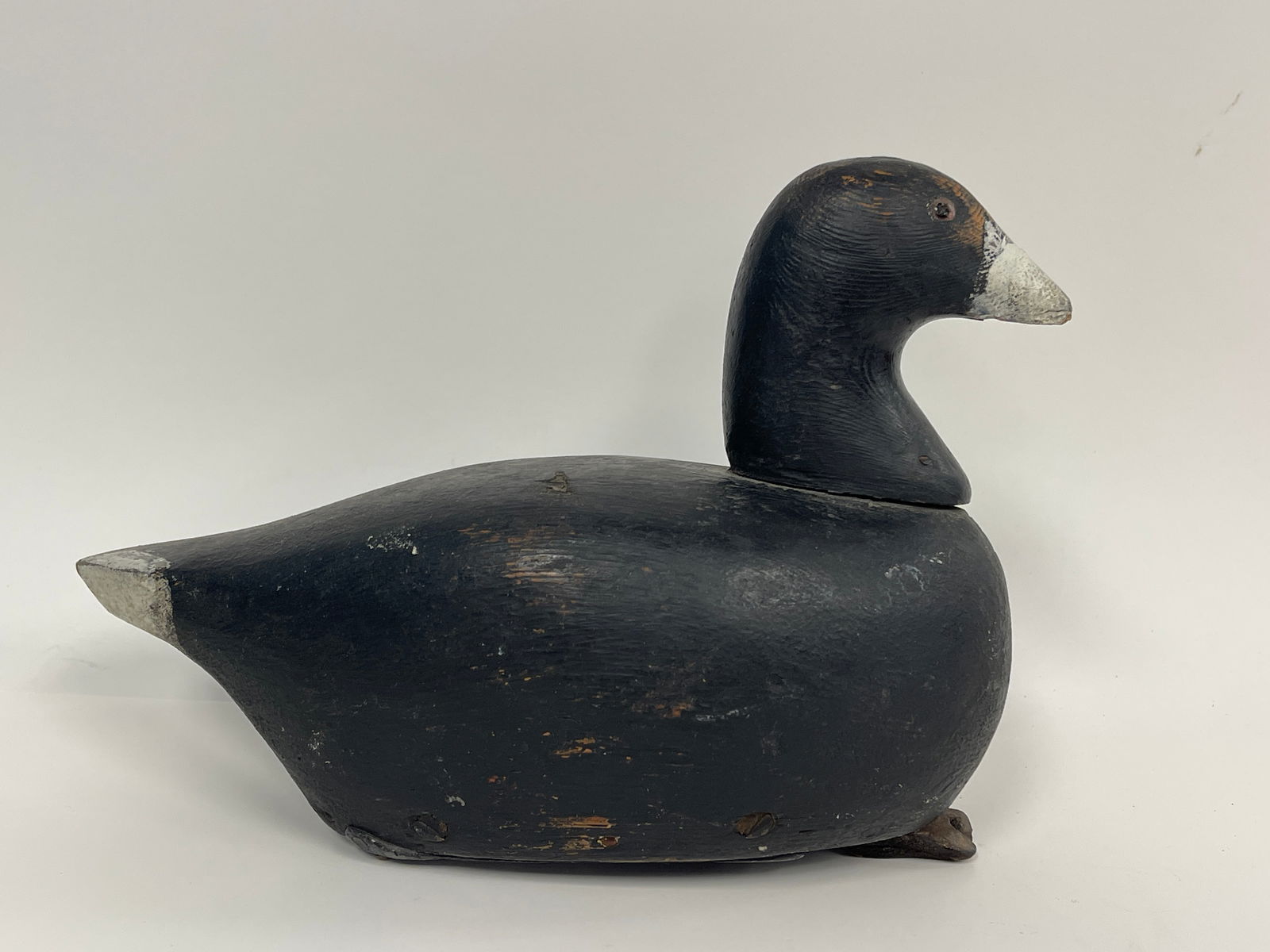 FRESHWATER COOT DECOY WITH PROVENANCE TAG (1 of 3)