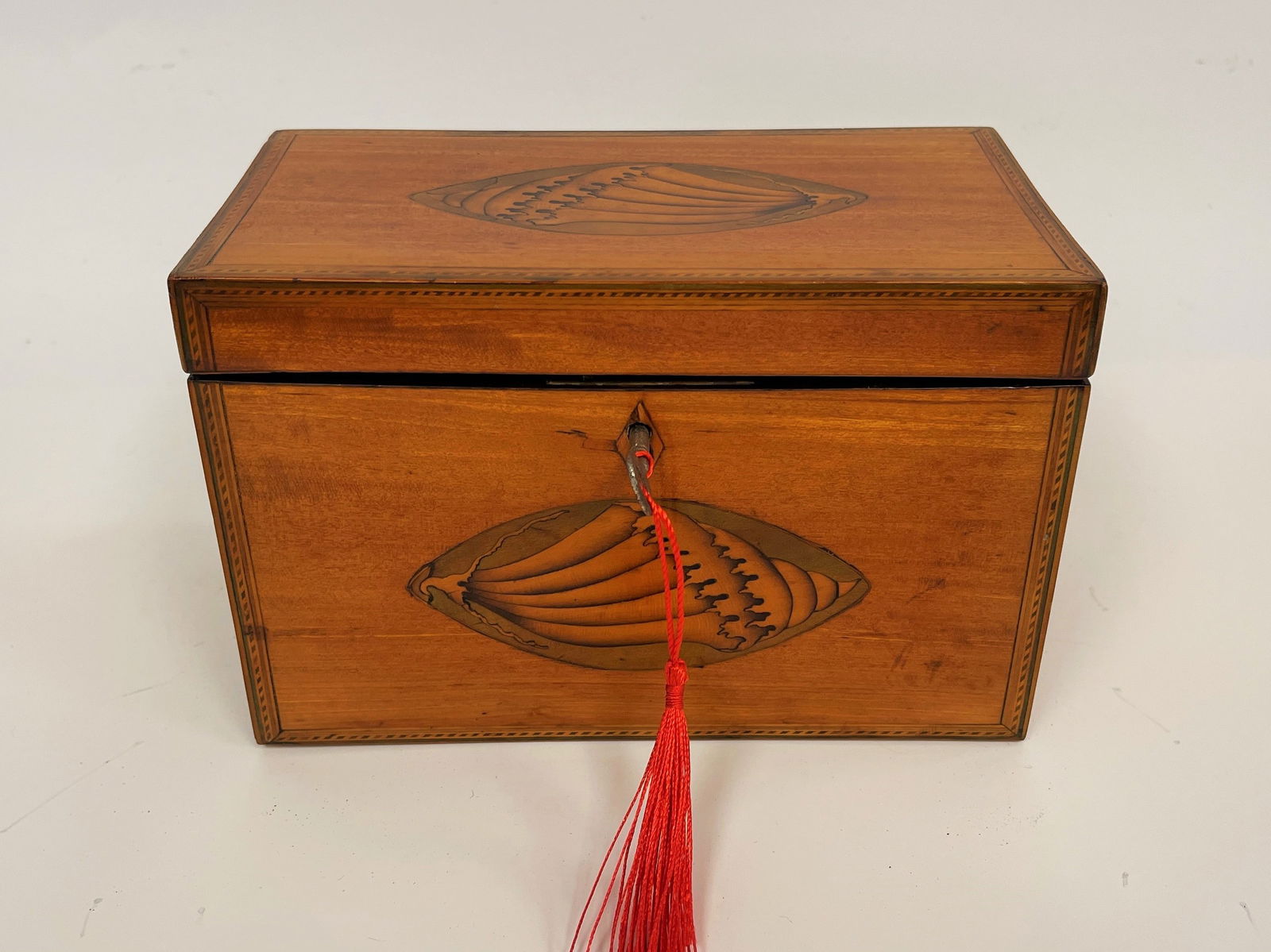 19TH C SATINWOOD ENGLISH SHELL TEA CADDY (1 of 6)