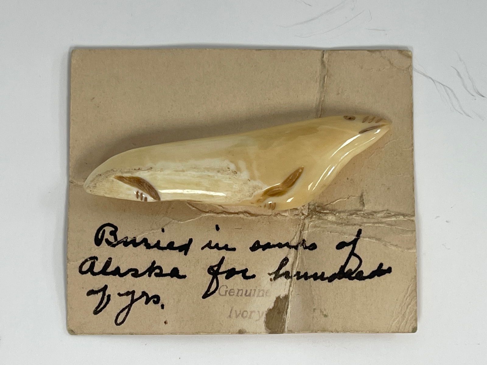 ANCIENT ESKIMO BONE CARVING OF A SEAL: ANCIENT ESKIMO BONE CARVING OF A SEAL W/ LATER APPLIED PIN BACKING “BURIED IN ALASKA SAND FOR HUNDREDS OF YEARS 2”