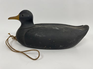 WORKING DUCK DECOY OF A BLACK DUCK DRAKE FROM MAINE 16" X 6"