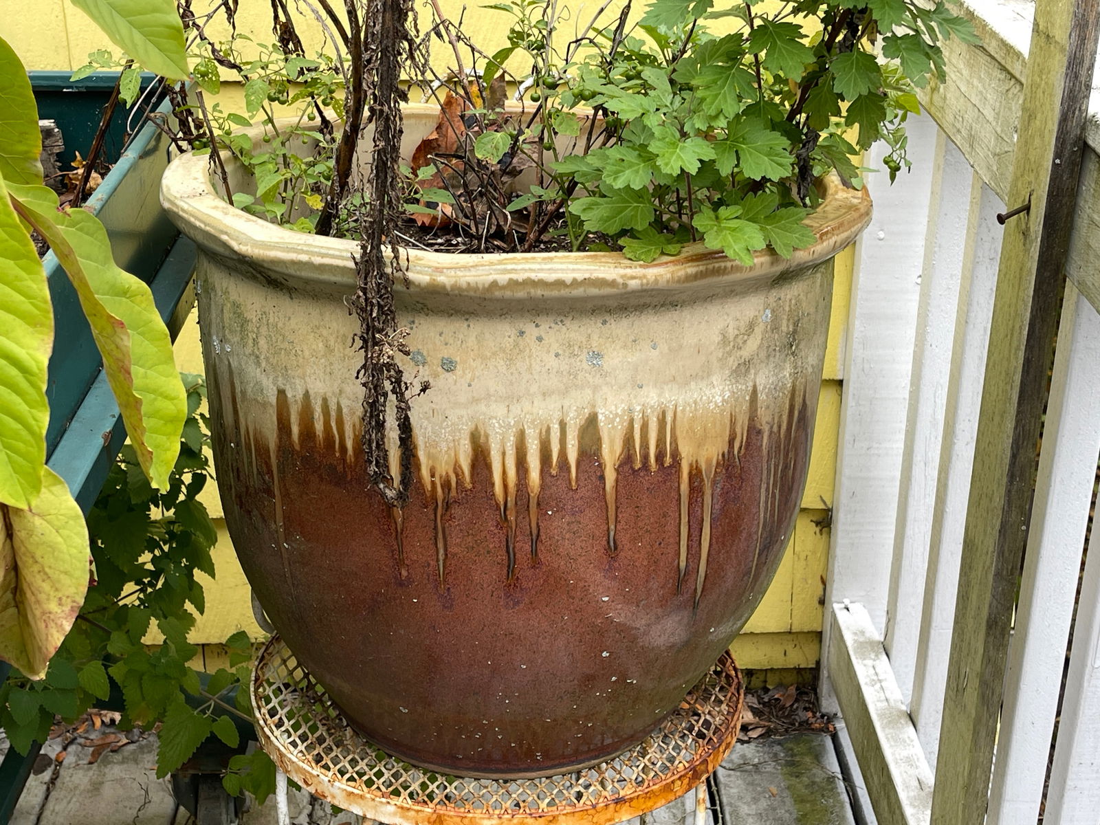 LARGE POTTERY PLANTER 19 X 17 (1 of 1)