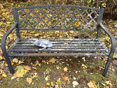 METAL GARDEN BENCH, WITH FROG, 51 X 31 X 14