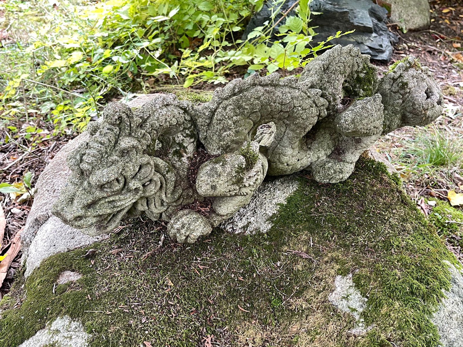 CONCRETE GARDEN DRAGON 24" L: CONCRETE GARDEN DRAGON 24" L