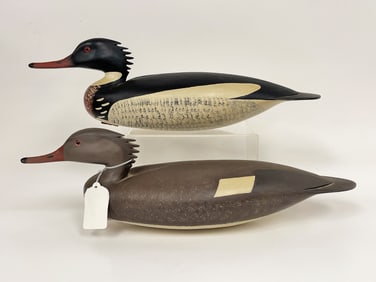 Pair red breasted mergansers with glass eyes