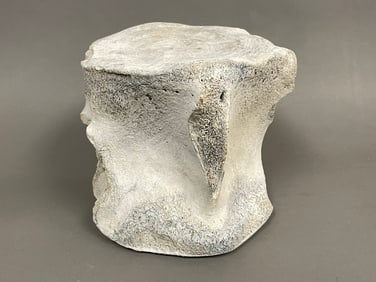UNUSUAL WHALE BONE VERTEBRAE, 9 X 8