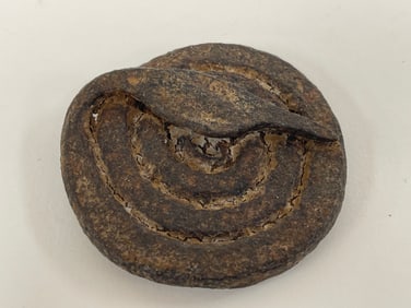 REVOLUTIONARY WAR SNAKE COIL CIRCLE