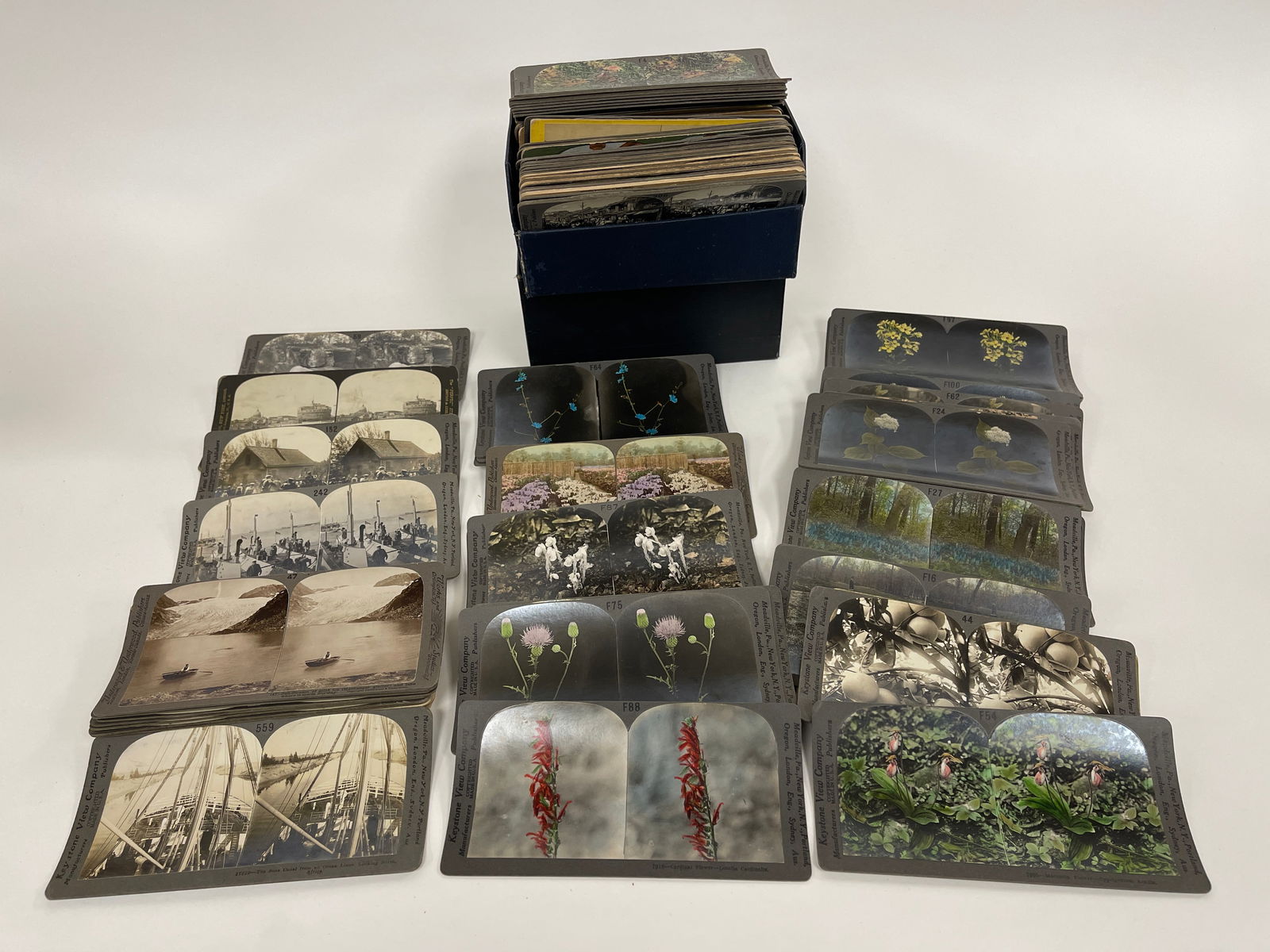 GROUPING OF 65 STEREOSCOPIC CARDS, ALL BOTANICAL (1 of 6)