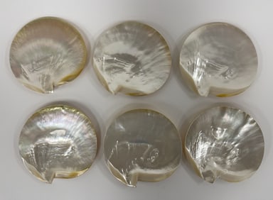 Set of 6 Polished 6.5?? Mother Of Pearl Shell Caviar Dishes