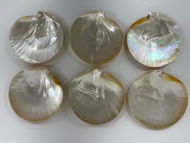 Set of 6 Polished 6.5?? Mother Of Pearl Shell Caviar Dishes