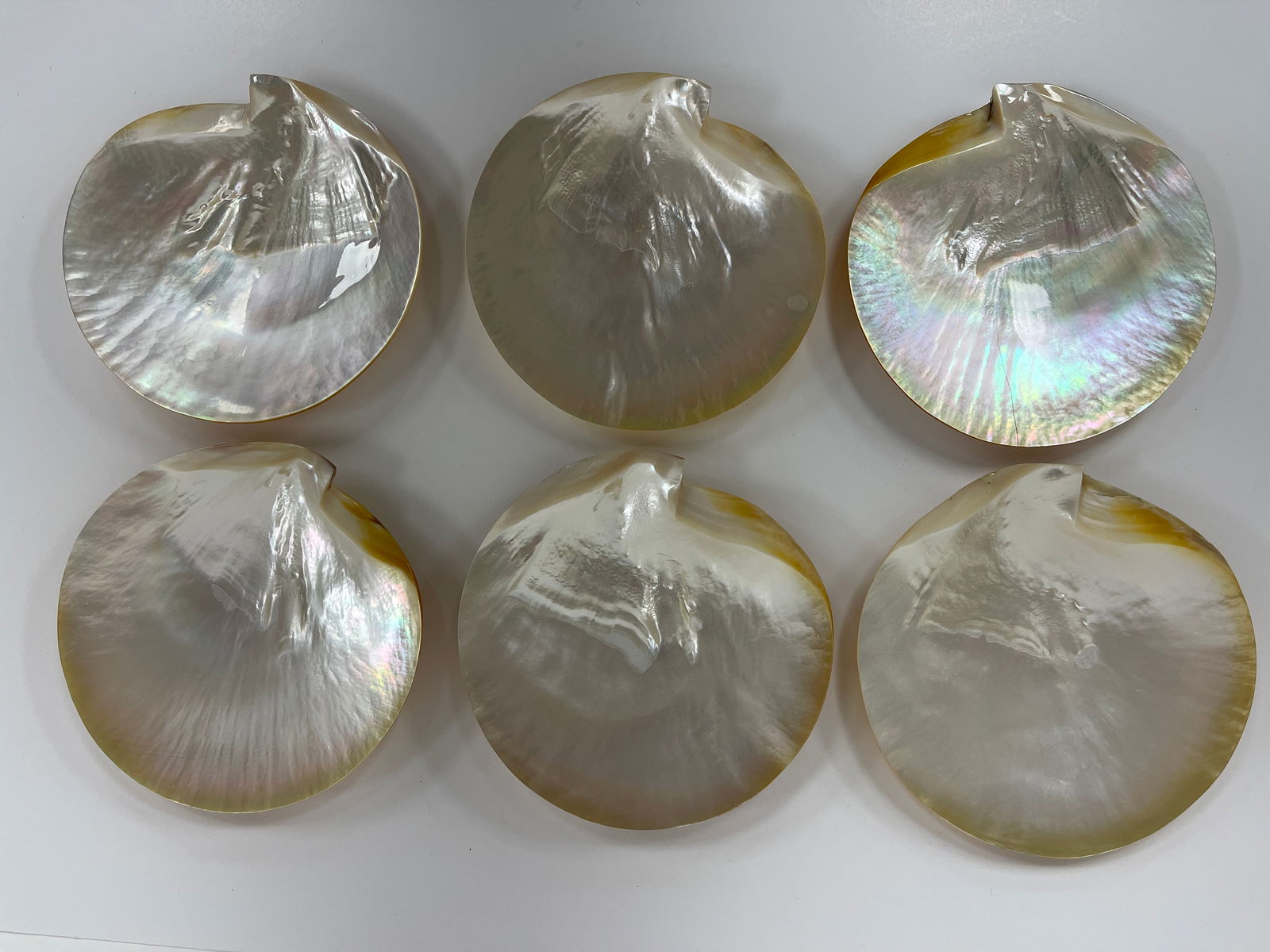 Set of 6 Polished 6.5?? Mother Of Pearl Shell Caviar Dishes: Set of 6 Polished 6.5” Mother Of Pearl Shell Caviar Dishes. 6.5” Decorative Shells. Excellent condition.